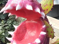 -沈阳植物园