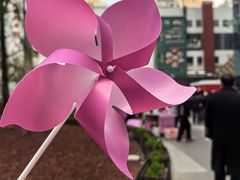 -美罗城