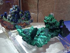 -湖南省地质博物馆