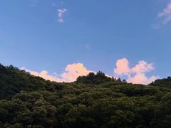 -牛背梁国家森林公园