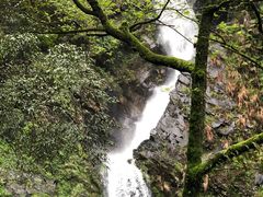 -祁门牯牛降观音堂风景区
