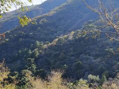 -香山公园