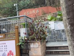 -佛山华盖山公园