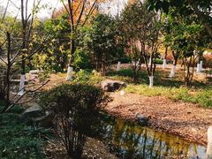 -紫金山索道-售票处