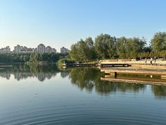 -马家湾湿地公园