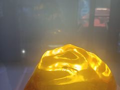-侏罗纪世界电影特展(广州站)