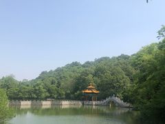 -穆老九清真牛羊肉馆(宋城店)