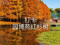 -厦门园林博览苑