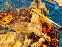 -渔香岛美蛙鱼头火锅(威清路店)