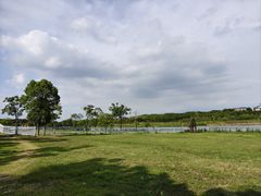 -梁子湖东篱老屋生态庄园