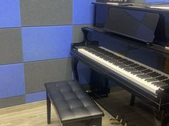 -缪斯琴行英皇小提琴.钢琴.吉他(张江店)