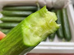 -大班家政月嫂育儿嫂(总部店)