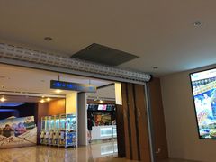 -幸福蓝海国际影城(河西店)