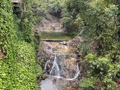 -南海湾森林生态园