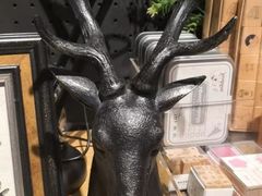 -九木杂物社(大东方百货店)