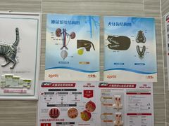 -瑞派名望志远动物医院·猫科·內科·异宠专科(直港大道店)