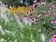 -永定河休闲森林公园