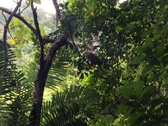 -太鲁阁公园