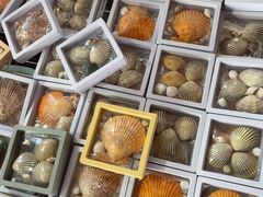 -蓝湾碧波·老字号·疍家非遗海上餐厅