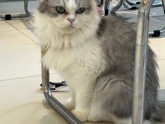 -怪兽屋·羊驼·猫咖·狗咖(俊华广场店)