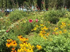 -永定河休闲森林公园