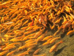 -楠溪江风景名胜区