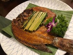-紫滇源云南生态菜(丹凤街店)