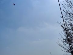 -西青郊野公园