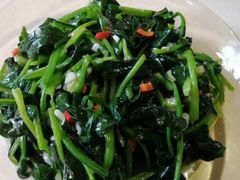 -祝管家·高端住家保姆月嫂育儿嫂(闵行店)