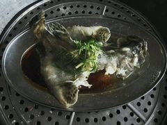 -蚝专家(北滘店)
