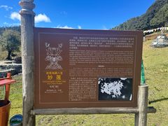 -碧塔海