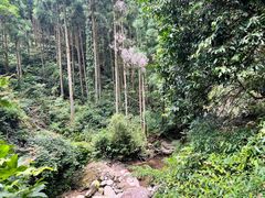 -雁荡山大龙湫景区
