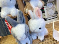 -寿奶茶·鲜奶与茶(合生汇购物中心店)