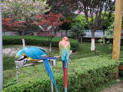 -陕西自然博物馆