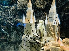 -太平洋海底世界