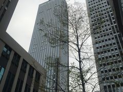 -至潮餐厅精致粤菜·活鲈鱼·走地鸡(珠江新城店)