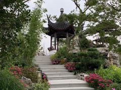 -东平国家森林公园