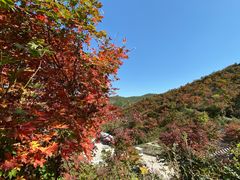-龙道沟景区