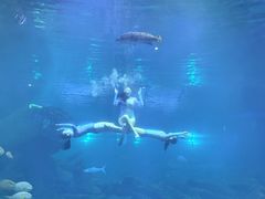 -福州罗源湾海洋世界旅游区