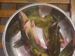 -亮欢寨酸汤鱼(沙冲路店)