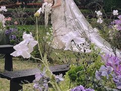-幸福湖国际会议中心