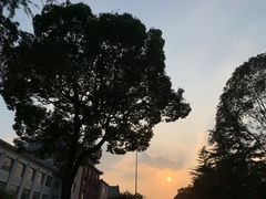 -四川大学(望江校区)