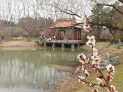 -梅花山(明孝陵内)