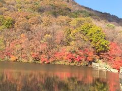 -龙道沟景区