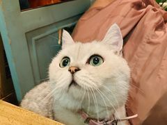 -小时光咖啡馆(北锣鼓巷店)