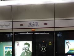 -望京西(地铁站)