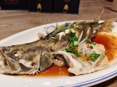 -山芋腔苏北菜(盐城滨海店)
