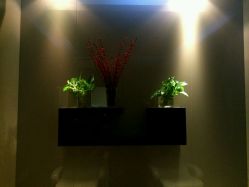 -史云逊养发护发