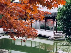 -秋霞圃