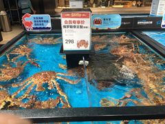 水产区-盒马鲜生(曜一城店)